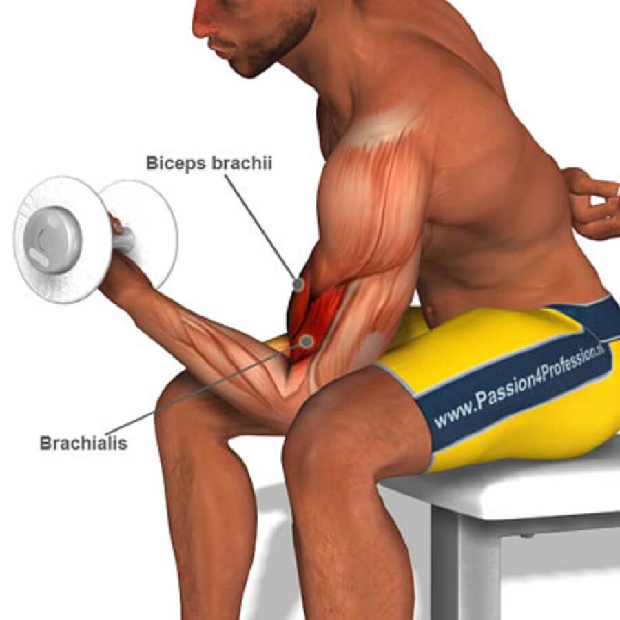 dambil-ile-kol-gelistiren-adam