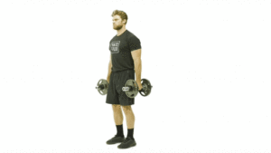 Dumbbell Hammer Curls
